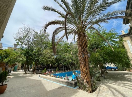 تور شیراز هتل بوتیک شاه پریون تورنگار