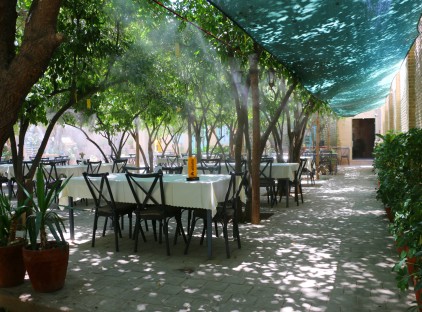 تور شیراز هتل بوتیک شاه پریون تورنگار