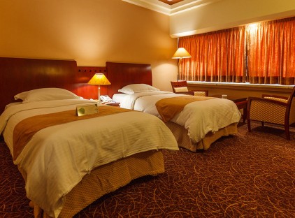 تور شیراز هتل هما تورنگار