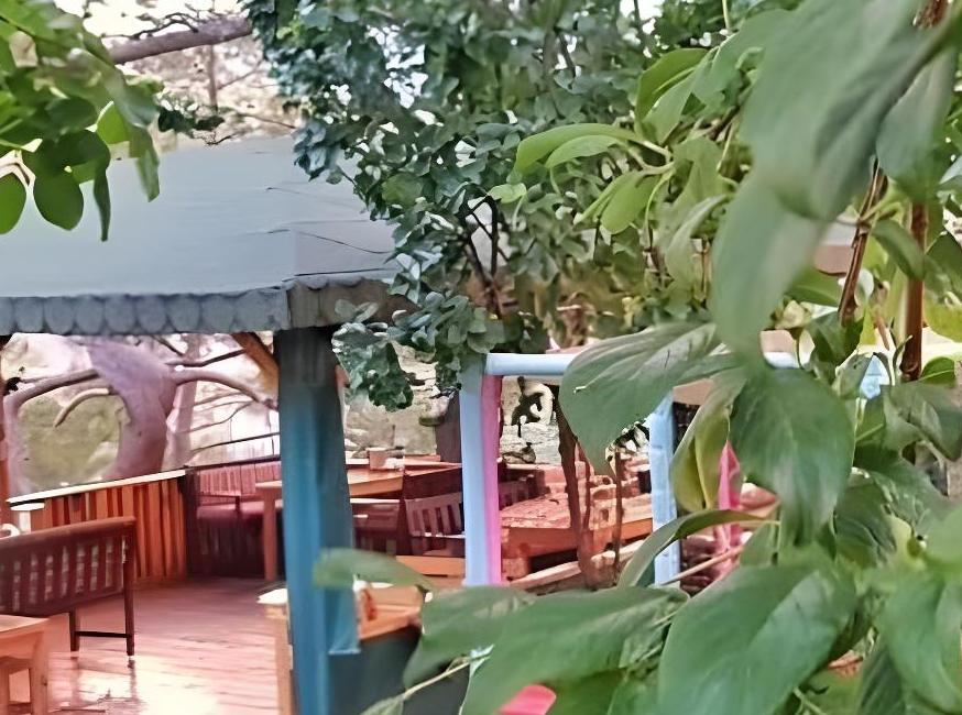 ینوادی تورنگار