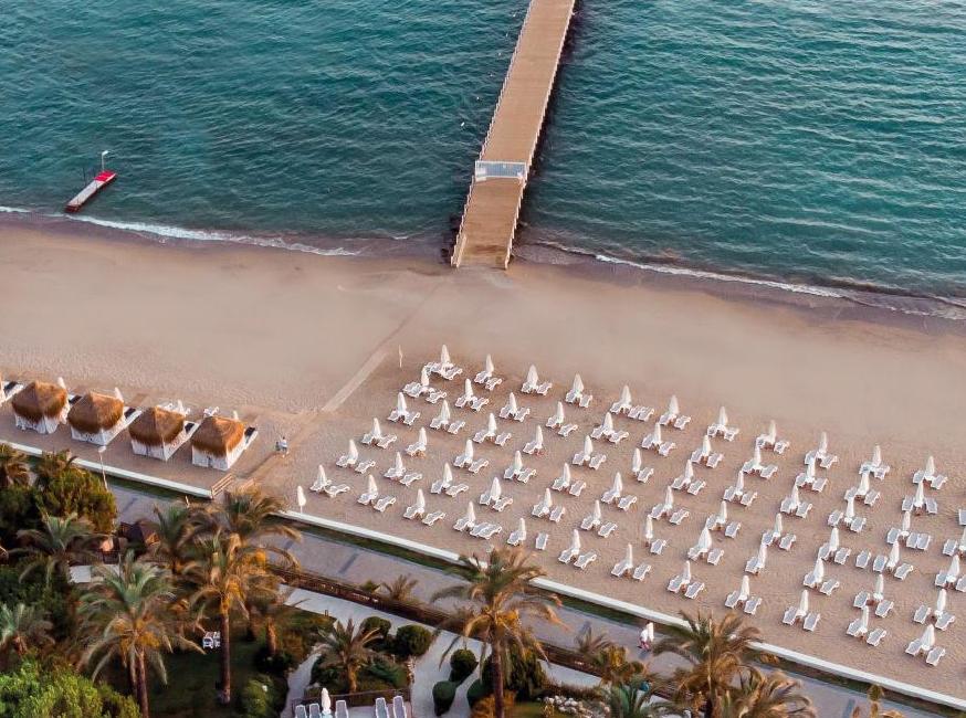 پالوما پریسیا تورنگار