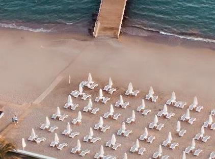 پالوما پریسیا تورنگار