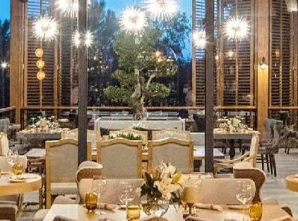 ریکس پرمیوم بلک - سرزمین افسانه‌ها تورنگار