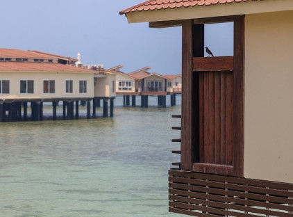 تور کیش هتل ترنج تورنگار