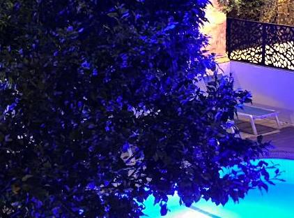 هتل اسکار گاردن تورنگار