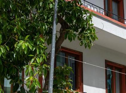 هتل پرگه پاین گرین تورنگار