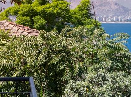 خانه چیزهای خوب تورنگار