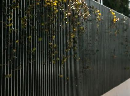 هتل زد سوئیتس تورنگار