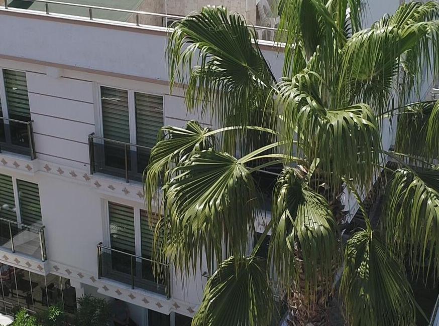 Gueden-Pearl تورنگار