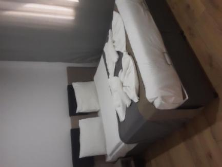 دی‌اند‌اس هومز کنیاآلتى