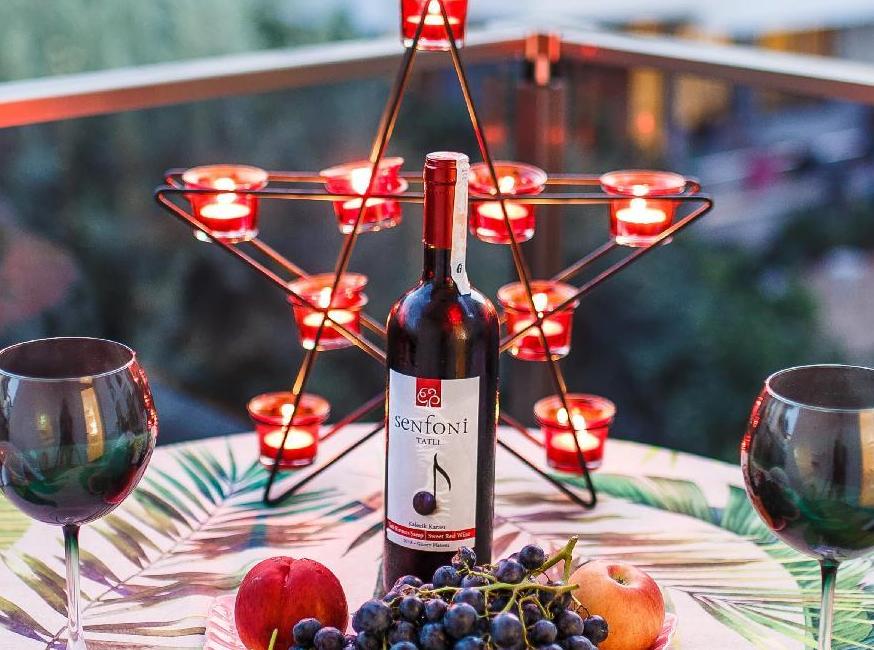 آپارت هتل ویلا آناستازیا تورنگار