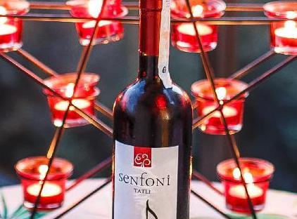 آپارت هتل ویلا آناستازیا تورنگار