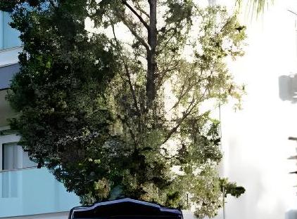 اتو آپارت تورنگار