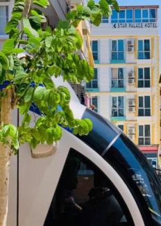 هتل استار پالاس