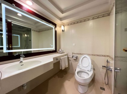 تور شیراز هتل بزرگ تورنگار