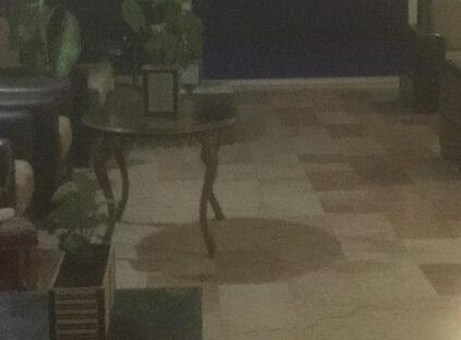 هتل لوگانو استاندارد اُدا تورنگار