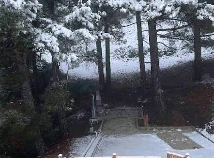 خانه هکان تورنگار