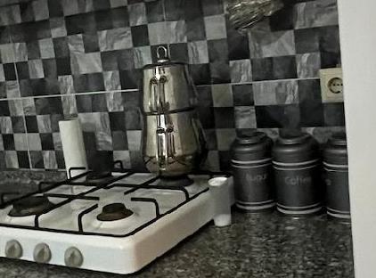 خانه تمیز و کاملاً خصوصی D:4 تورنگار