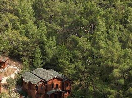 Babylontown Otel تورنگار