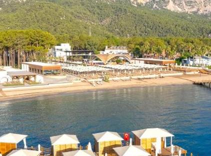 Siu Collection تورنگار