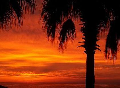 Seagull Hotel - All Inclusive تورنگار