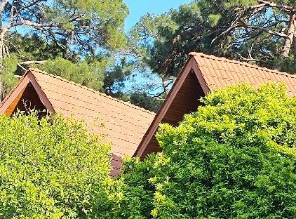 WOODLINE HOTEL تورنگار