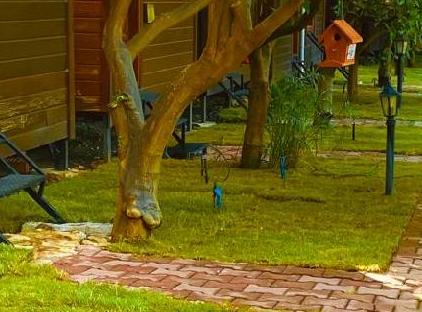 Varuna Pansiyon تورنگار