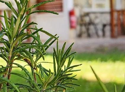 Yedi Butik Hotel تورنگار