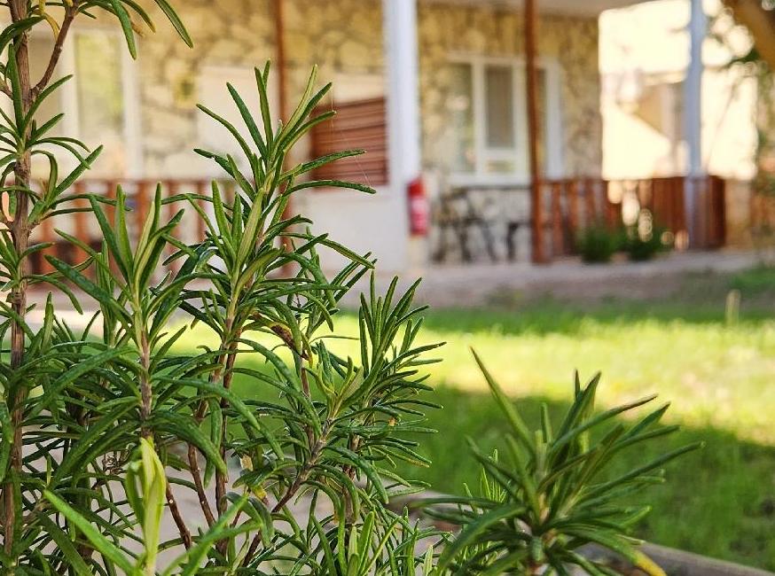 Yedi Butik Hotel تورنگار