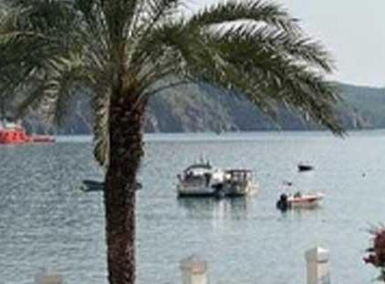 Ford Hotel تورنگار