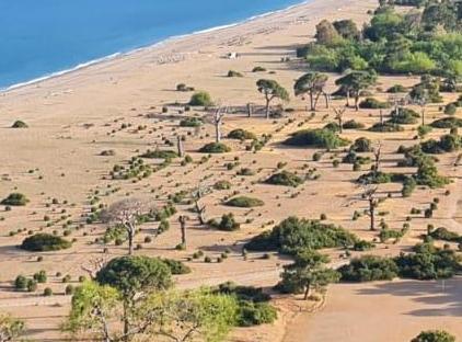 Chimera Park Apart تورنگار