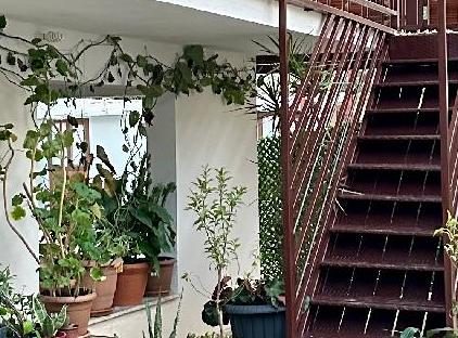 Gelidonya Pansiyon تورنگار