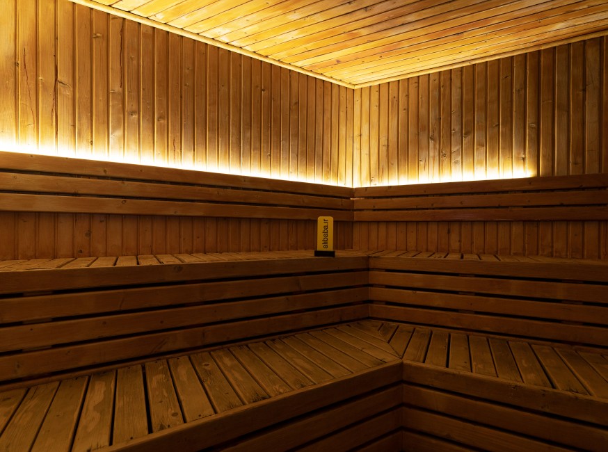 تور تهران هتل رمیس (ایبیس) تورنگار