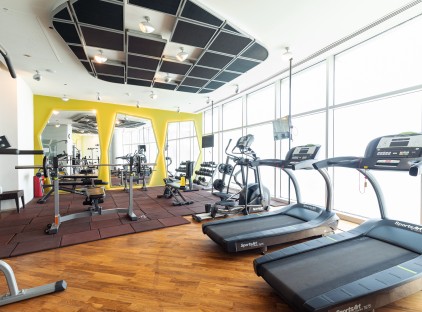 تور تهران هتل رمیس (ایبیس) تورنگار