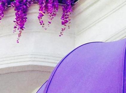 تور هتل اصلان استانبول تورنگار