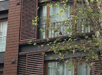 تور هتل بوسفورا استانبول تورنگار